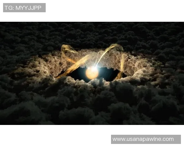 日本与免费视频的较量:文化创意与市场的碰撞与融合